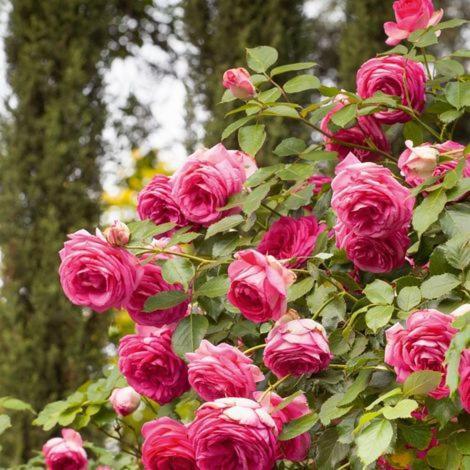 Chez Fleur Bed & Breakfast Avignon Bagian luar foto